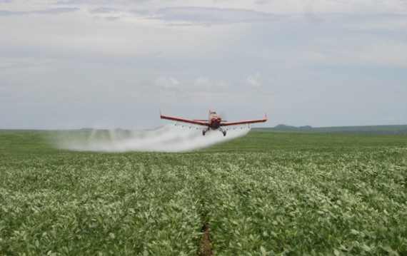 agroquimicos_329615